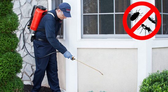 Mucur Dezenfeksiyon böcek ilaçlama ve haşere kontrolü — ilaclama-tr.com